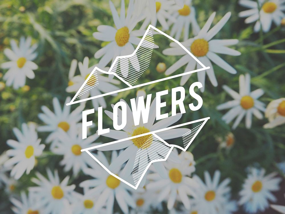 Flowers Bloom Nature Freshness Concept