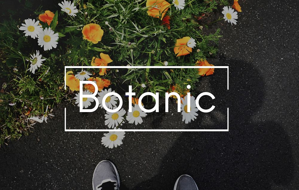 Bloom Botanic Flowers Freshness Concept