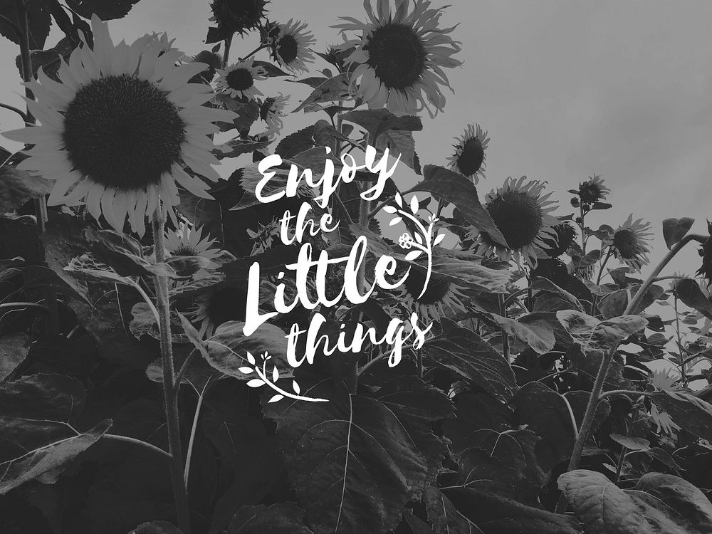 Enjoy little things is a happiness.