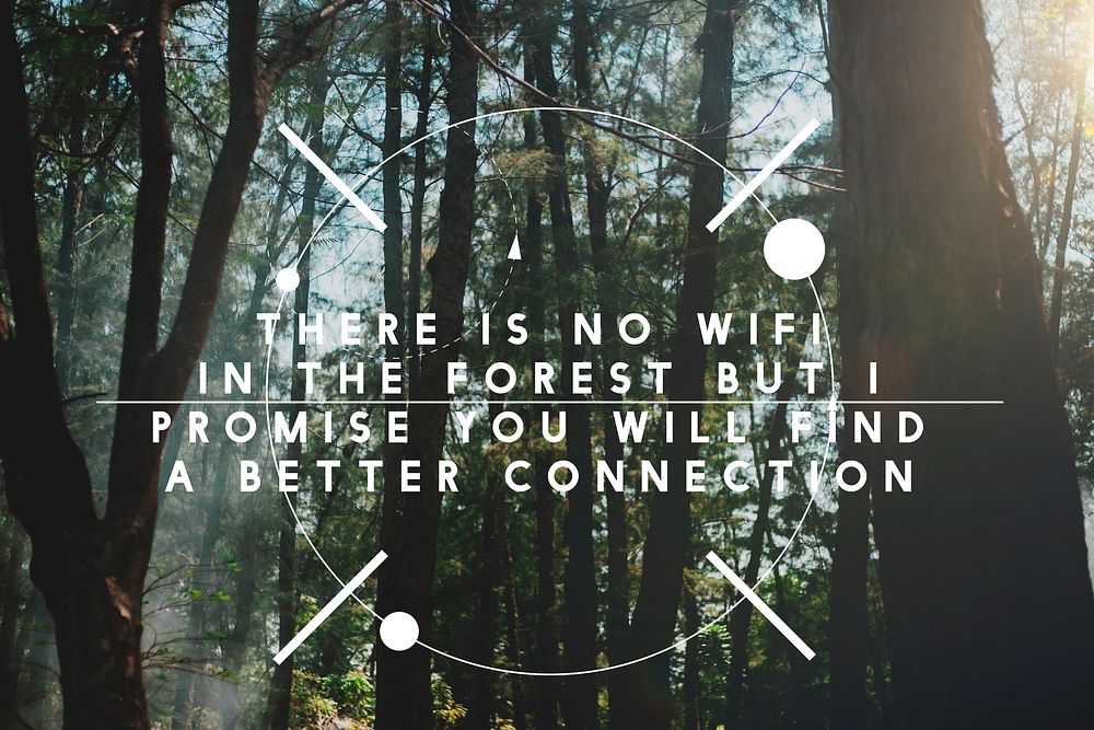 There is no wifi in the forest but new connection.