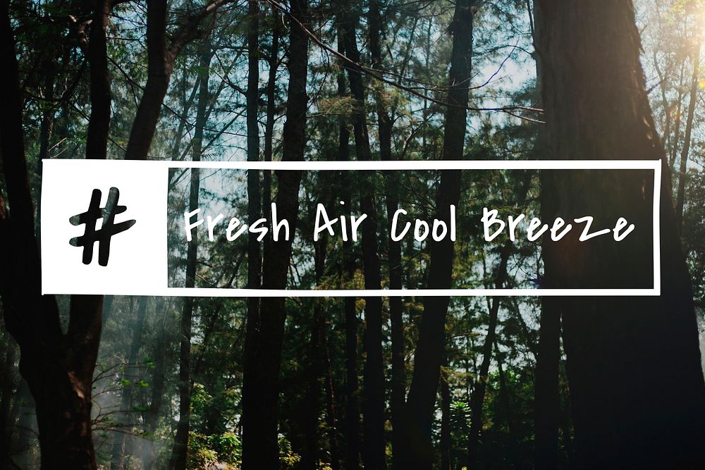Fresh Air Cool Breeze Holiday Vacation Relaxation