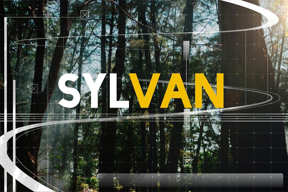 Sylvan Environment Forest Eco Word