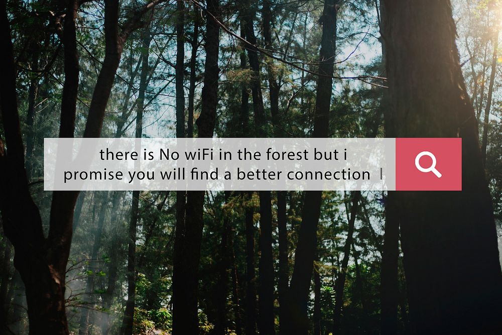 There is no wifi in the forest but new connection.