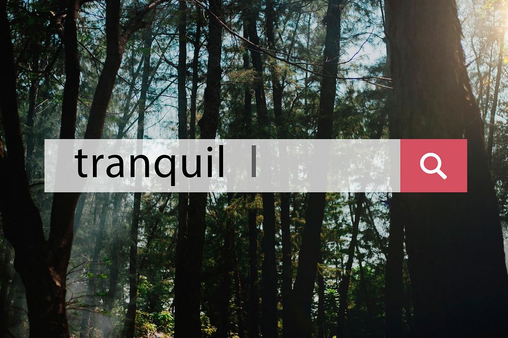 Tranquil forest network connection graphic