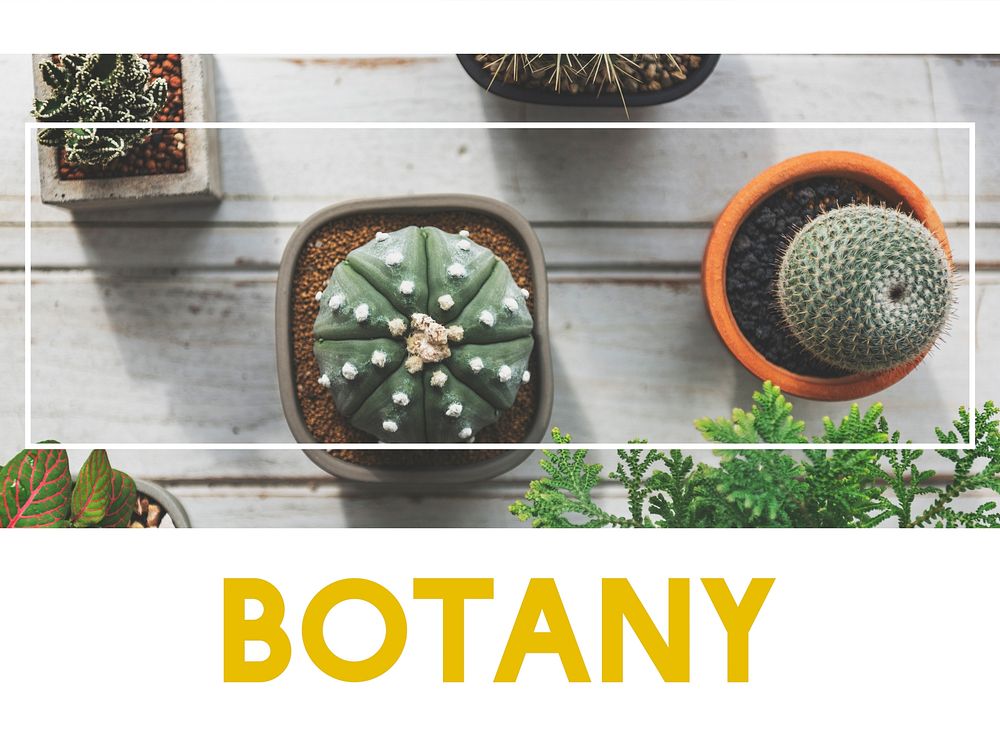 Green Plants Botany Planting Hobby