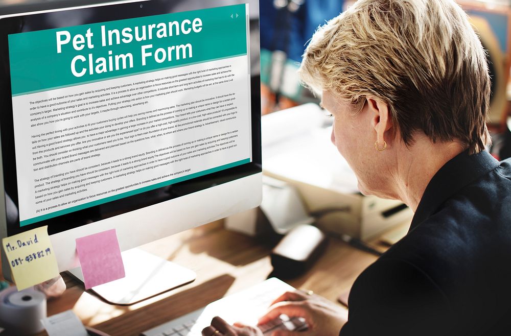 Pet Insurance Claim Form Puppy Animal Safety Concept