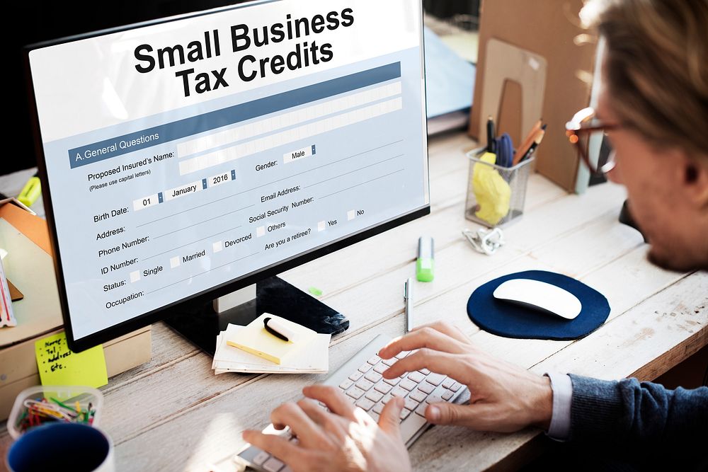 Samll Business Loan Form Tax Credits Niche Concept