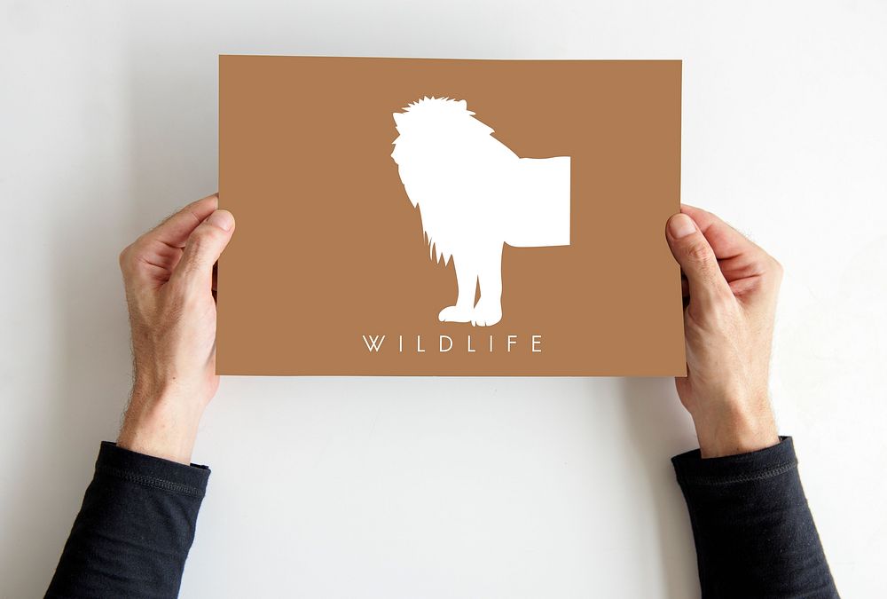 Animal Wildlife Word with Lion Graphic