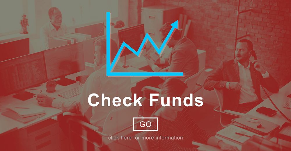 Check Funds Progress Chart Interface Concept