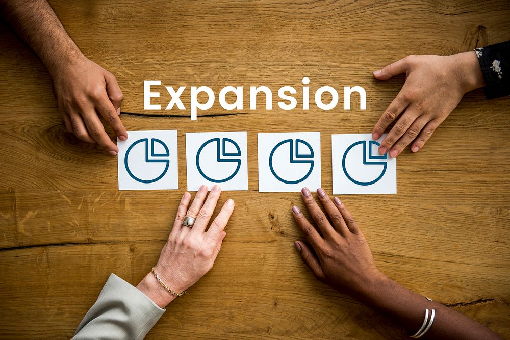 Expansion Perfomance Pie Chart Concept