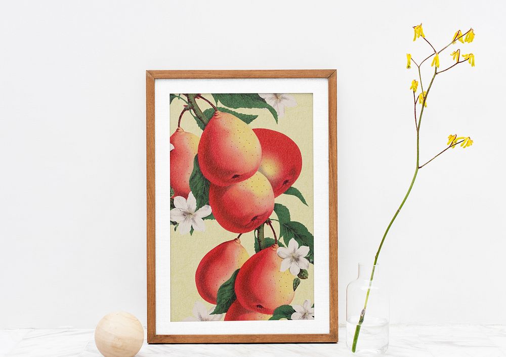 Vintage fruit illustration frame, home decoration