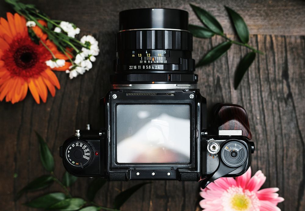 Analog camera screen surrounded by flowers