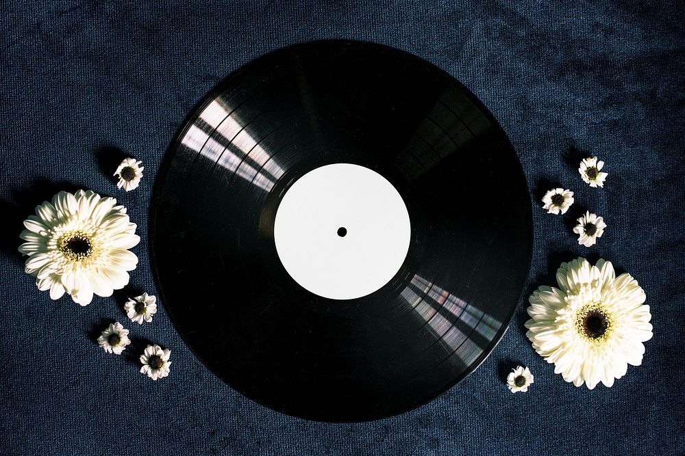 Retro black vinyl disk