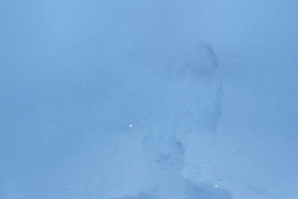 Snowshoe trace in thick snow