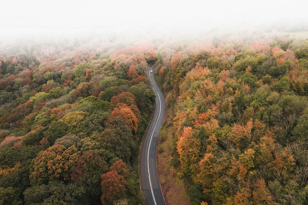 Road through an autumn scenic route
