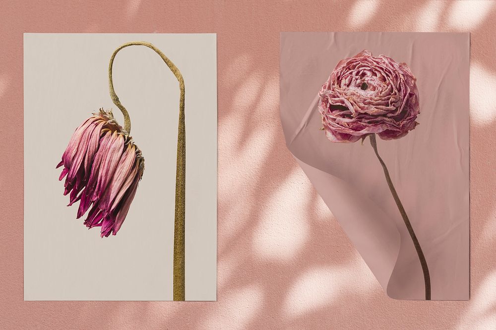 Flower poster mockup, editable design psd