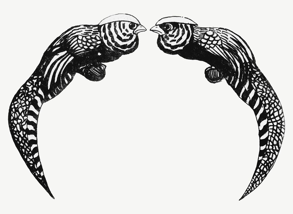 Vintage black and white cock frame vector, remix from artworks by Theo van Hoytema
