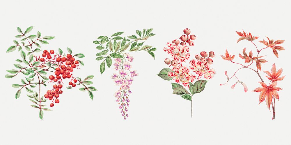 Vintage Japanese pink flower art print set, remix from artworks by Megata Morikaga