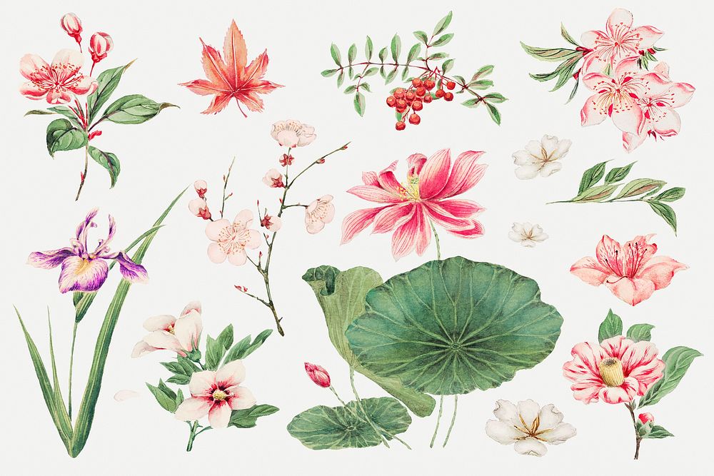 Pink Japanese plant art print, remix from artworks by Megata Morikaga