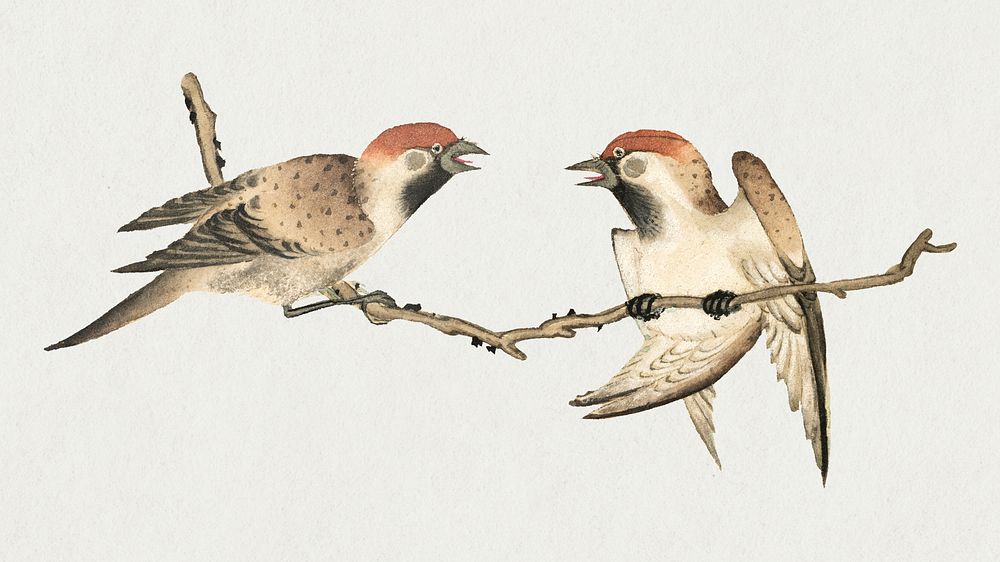 Vintage sparrow bird psd, remix from artworks by Zhang Ruoai