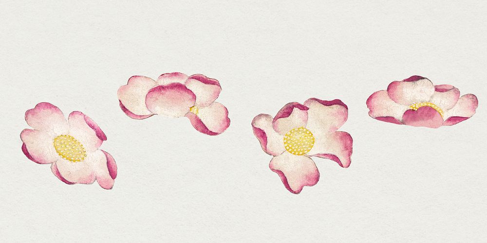 Vintage mallow flower set, remix from artworks by Zhang Ruoai