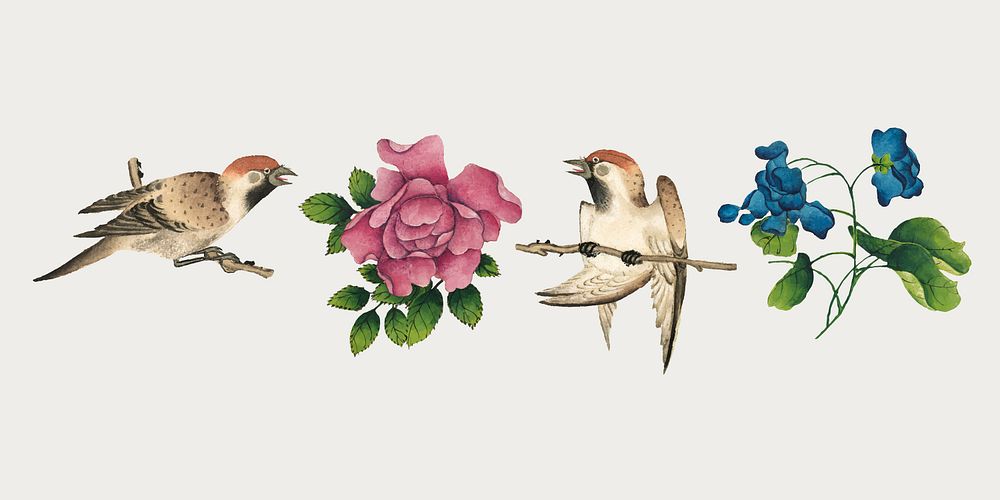Chinese flower and bird vector set, remix from artworks by Zhang Ruoai