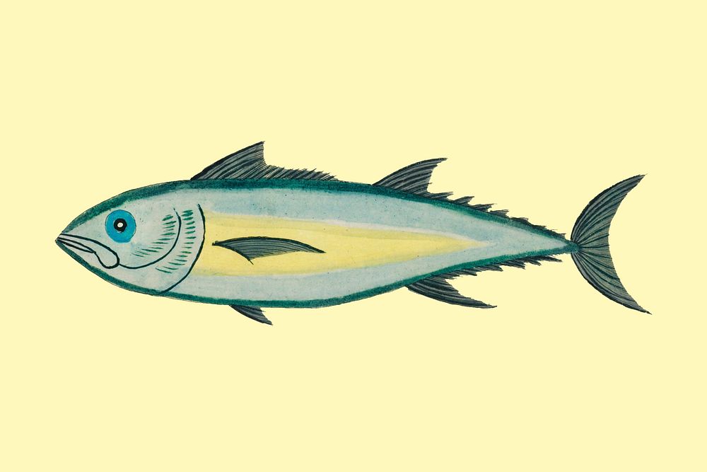 Vintage fish sticker, aquatic animal illustration psd, remix from the artwork of Louis Renard