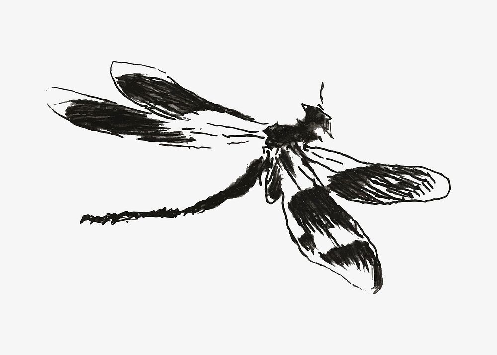 Dragonfly vector vintage insect illustration, remixed from artworks by &Eacute;douard Manet