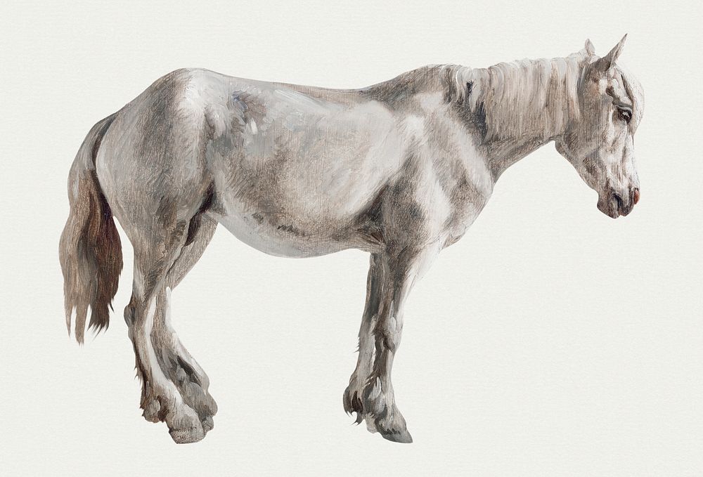 Vintage horse illustration, remixed from artworks by Jacques-Laurent Agasse