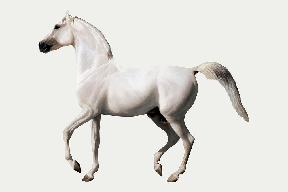 Vintage horse vector illustration, remixed from artworks by Jacques-Laurent Agasse