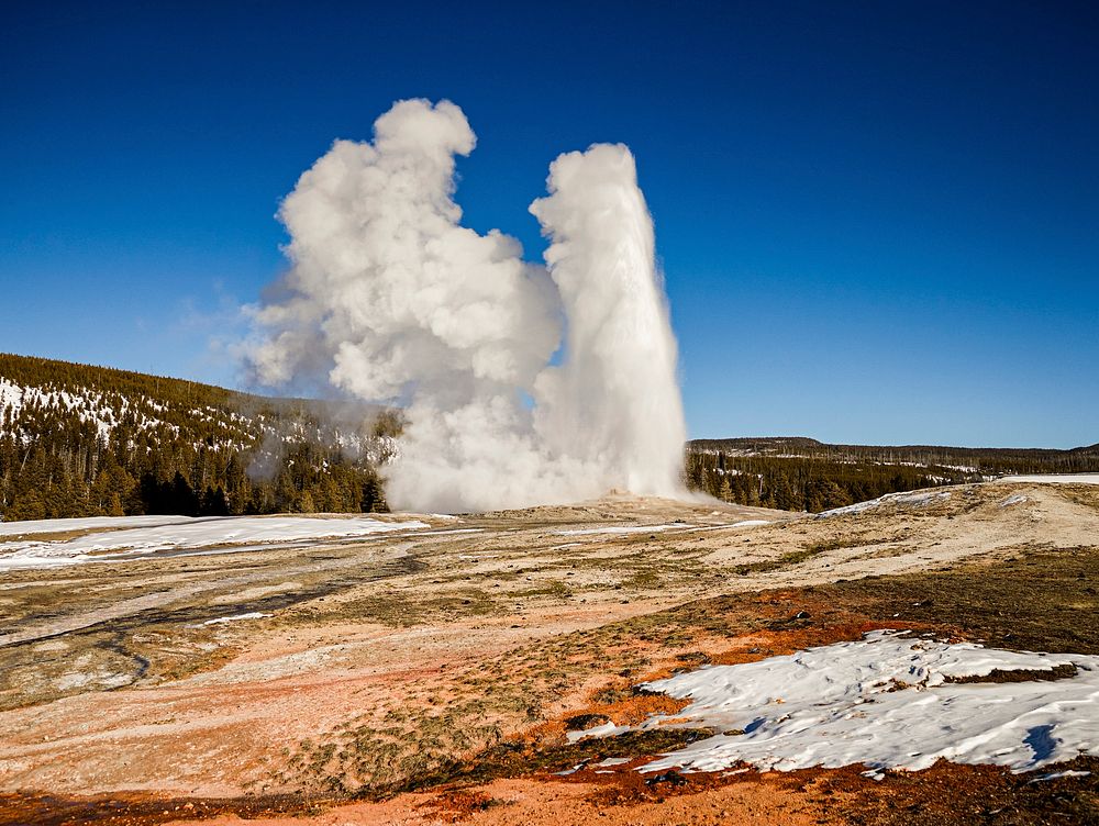 "Old Faithful" geyser erupts in Yellowstone National Park.