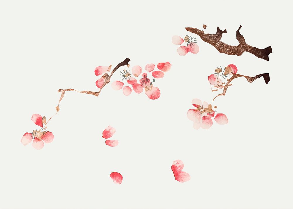Pink cherry blossom vector botanical art print, remixed from artworks by Hu Zhengyan