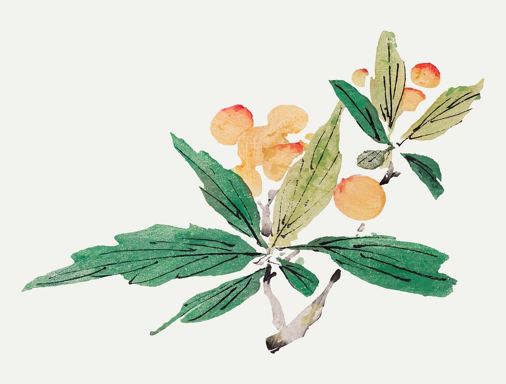 Fruit vector botanical art print, remixed from artworks by Hu Zhengyan