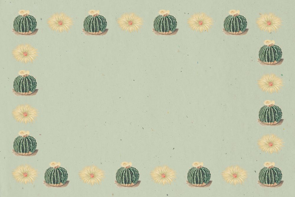 Vintage green cactus and flower border frame design element