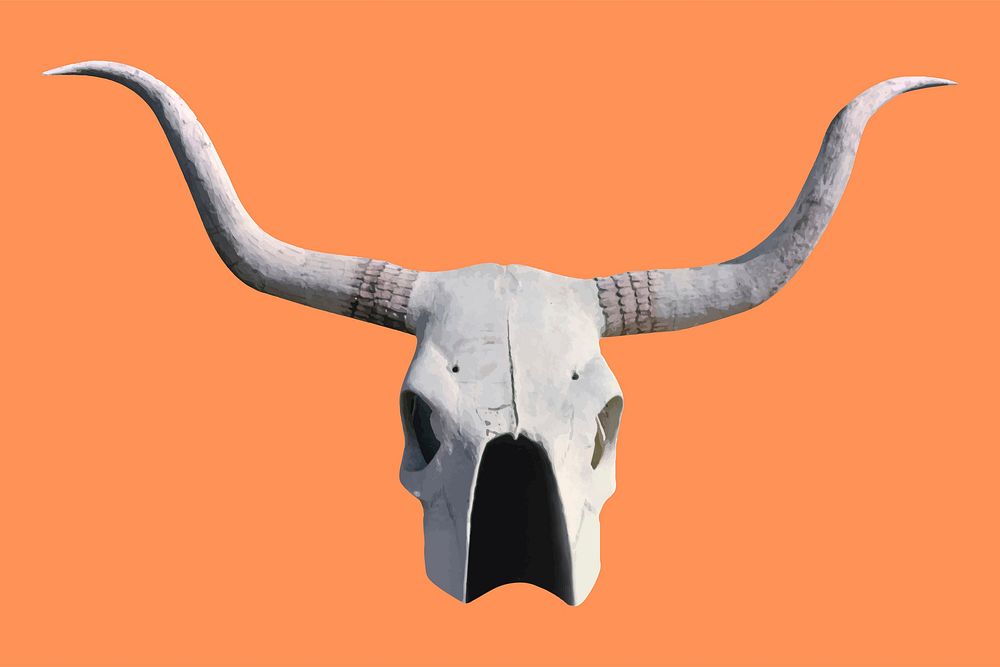 Bull skull vector with horns, remixed from artworks by John Margolies