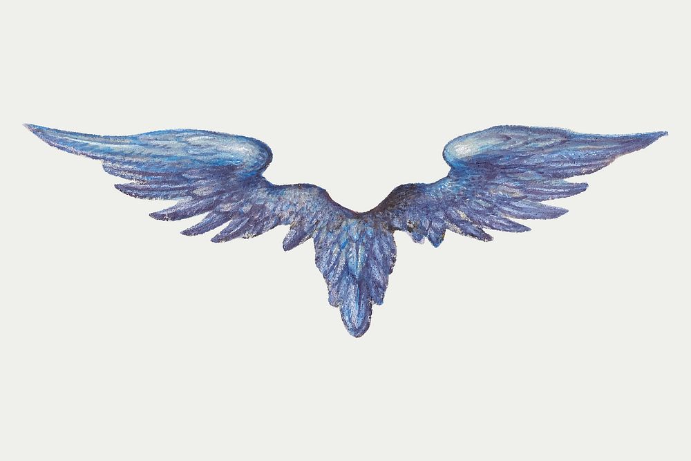 Mythical blue angel wings vector