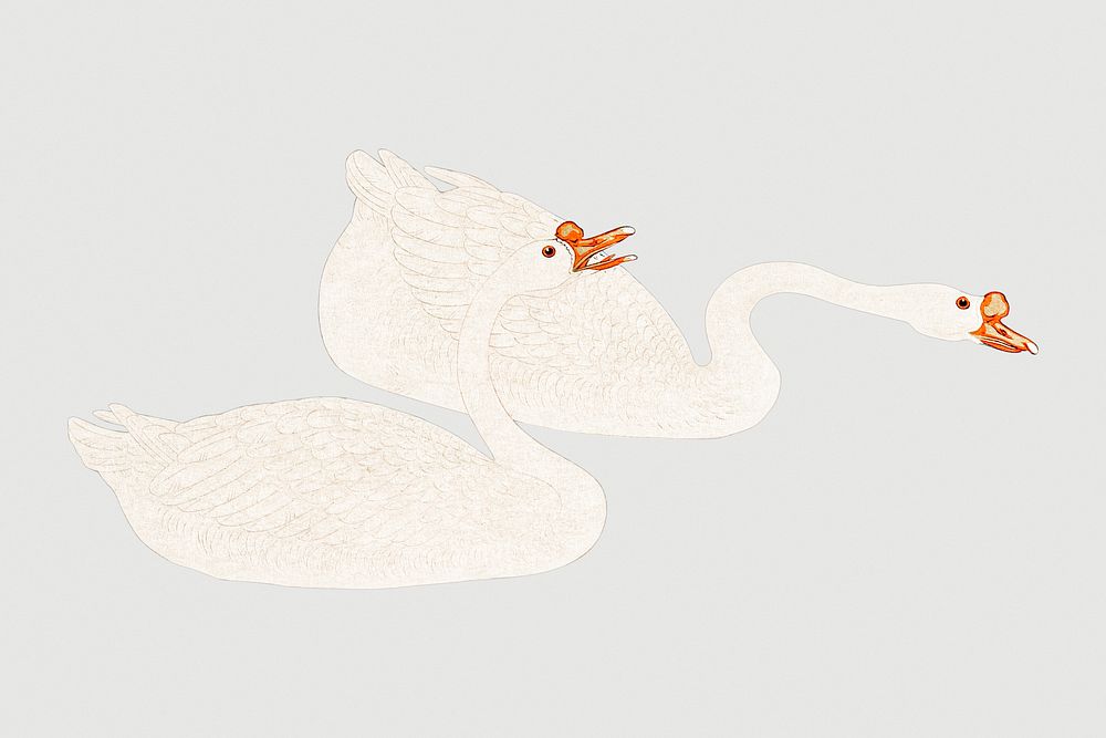 White geese couple bird design element