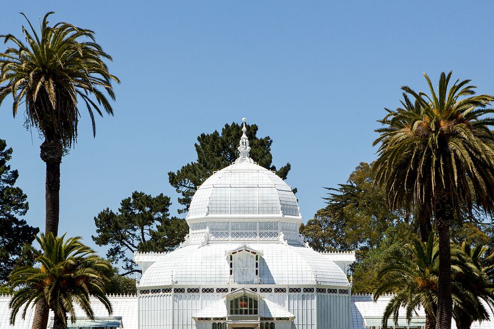 The Conservatory of Flowers is a greenhouse and botanical garden that houses a collection of rare and exotic plants in…