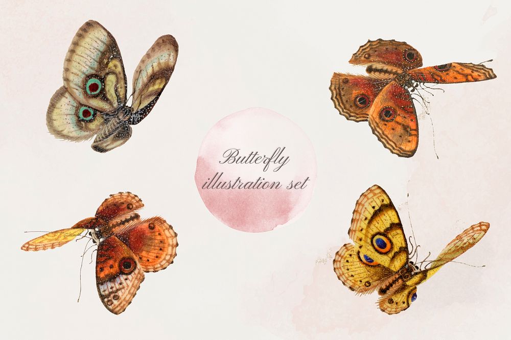 Psd butterfly vintage illustration set