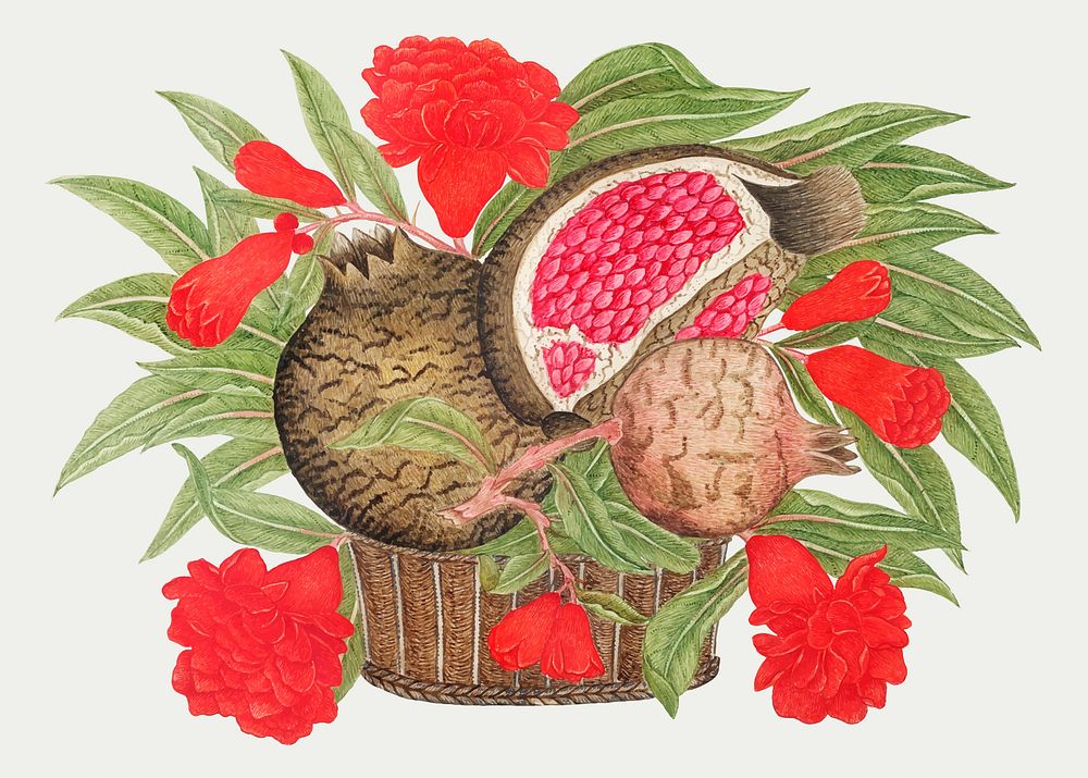 Pomegranates and blossoms in a basket vector, remixed from the 18th-century artworks from the Smithsonian archive.