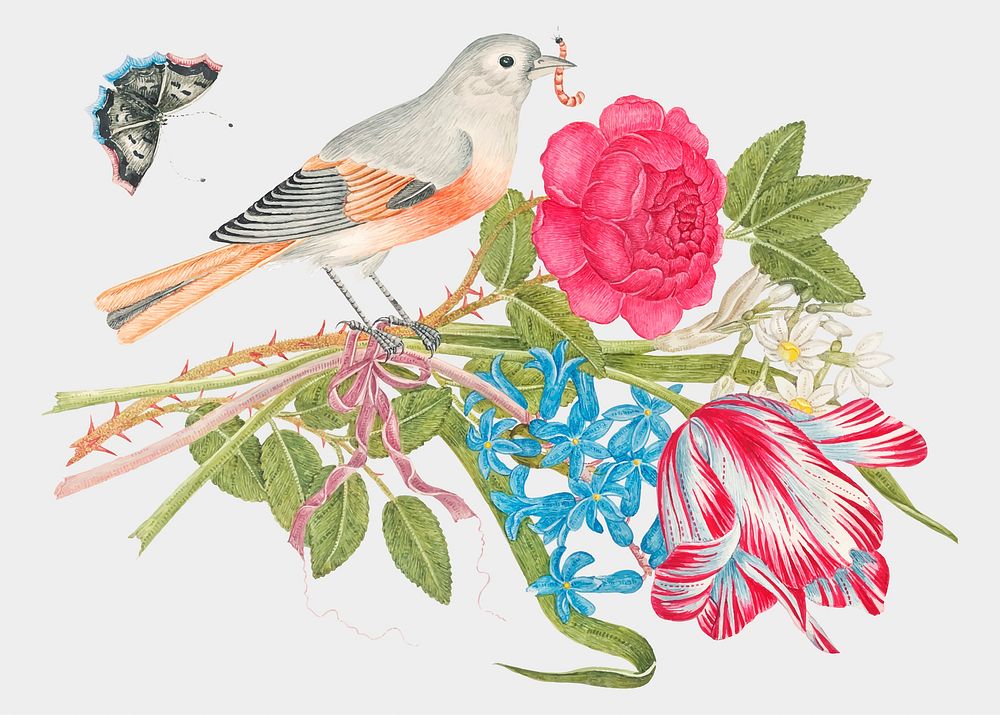 Vintage bird and flowers vector illustration, remixed from the 18th-century artworks from the Smithsonian archive.