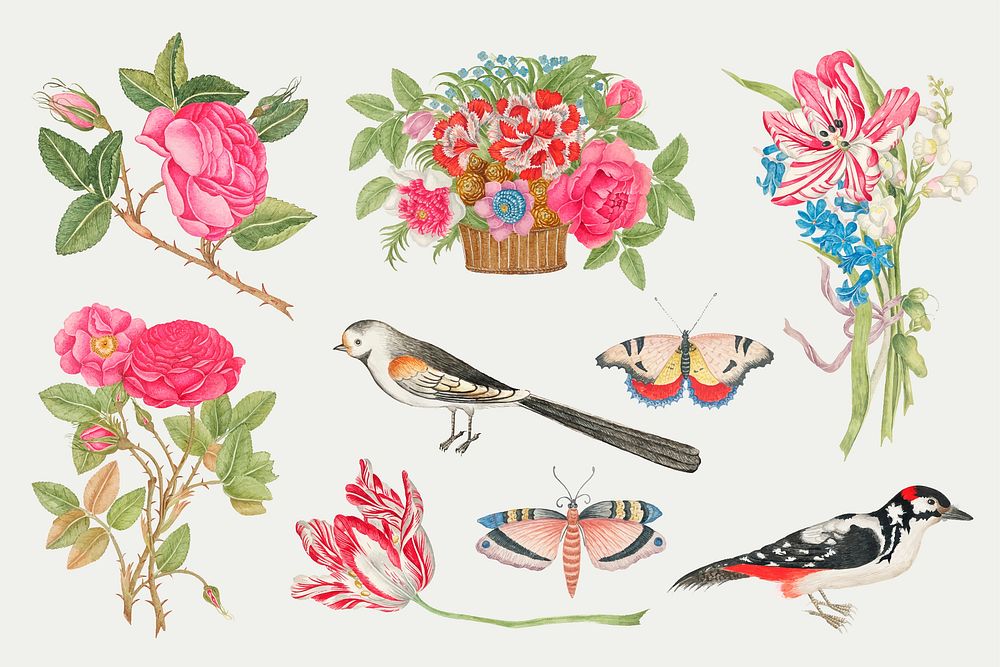 Vintage flowers and birds vector illustration set, remixed from the 18th-century artworks from the Smithsonian archive.