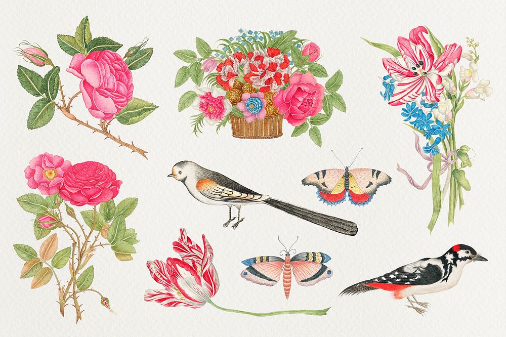 Vintage flowers and birds illustration set, remixed from the 18th-century artworks from the Smithsonian archive.
