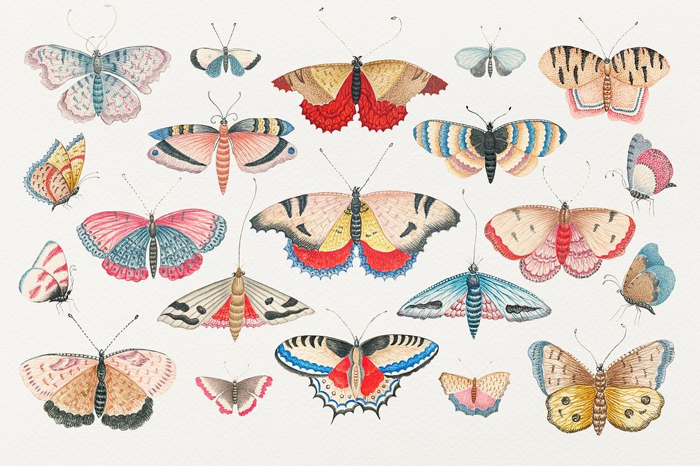 Vintage butterfly illustration collection, remixed from the 18th-century artworks from the Smithsonian archive.