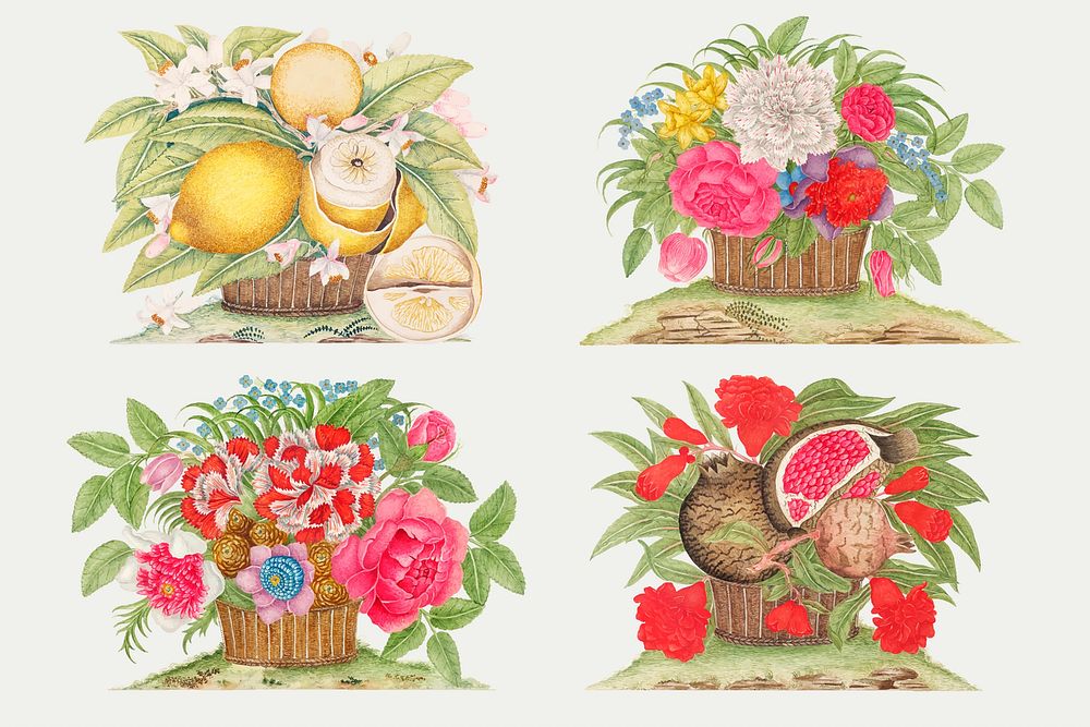 Vintage basket of flowers and fruits vector illustration set, remixed from the 18th-century artworks from the Smithsonian…