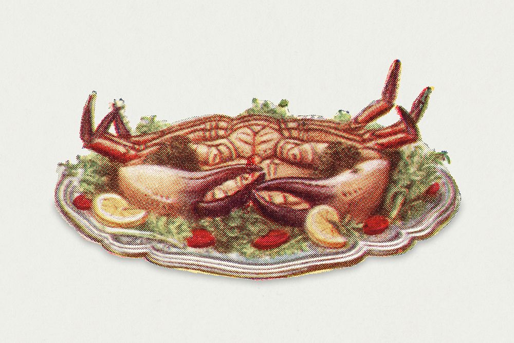 Vintage cooked crab with vegetables illustration