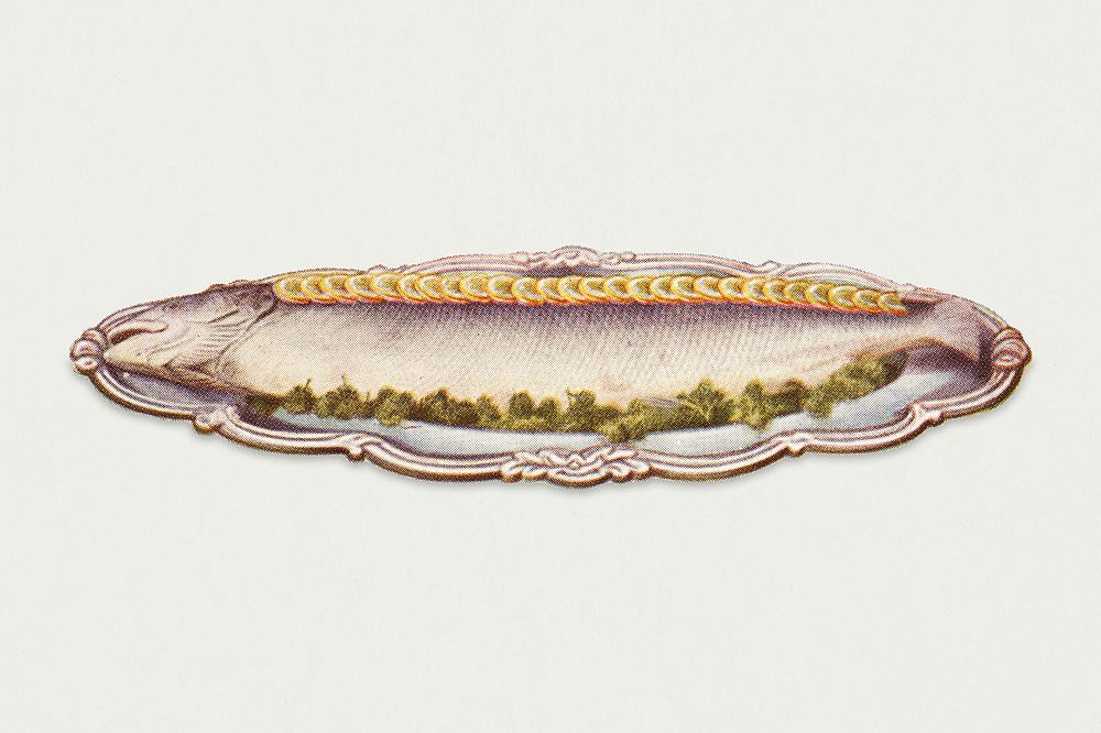 Vintage salmon au naturel dish illustration