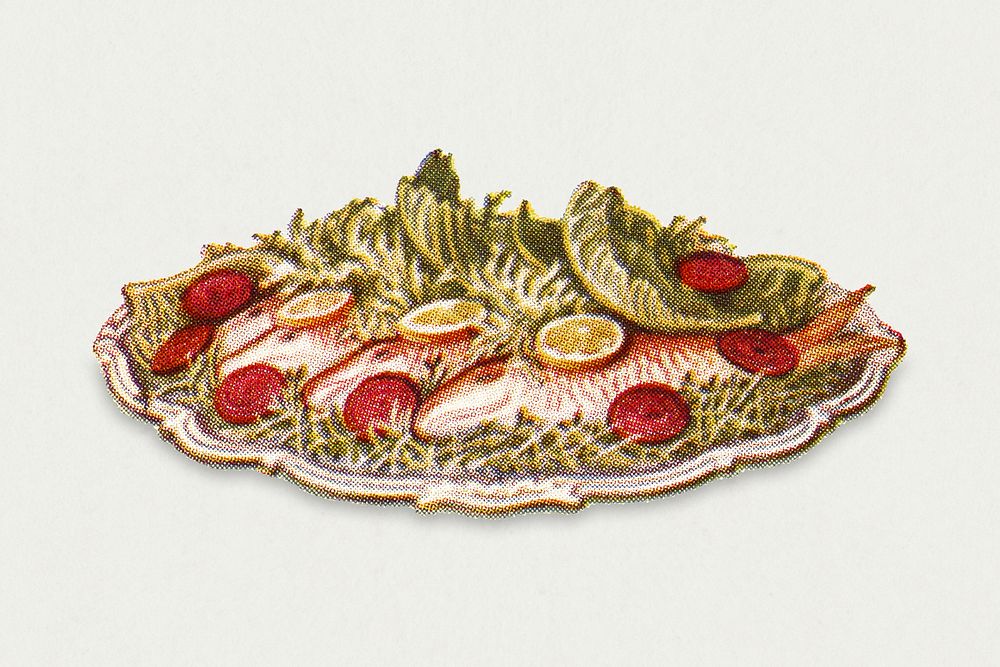 Vintage red mullet dish illustration
