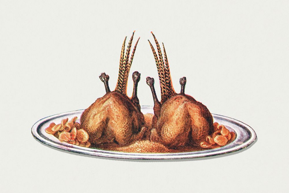 Vintage roasted pheasants illustration
