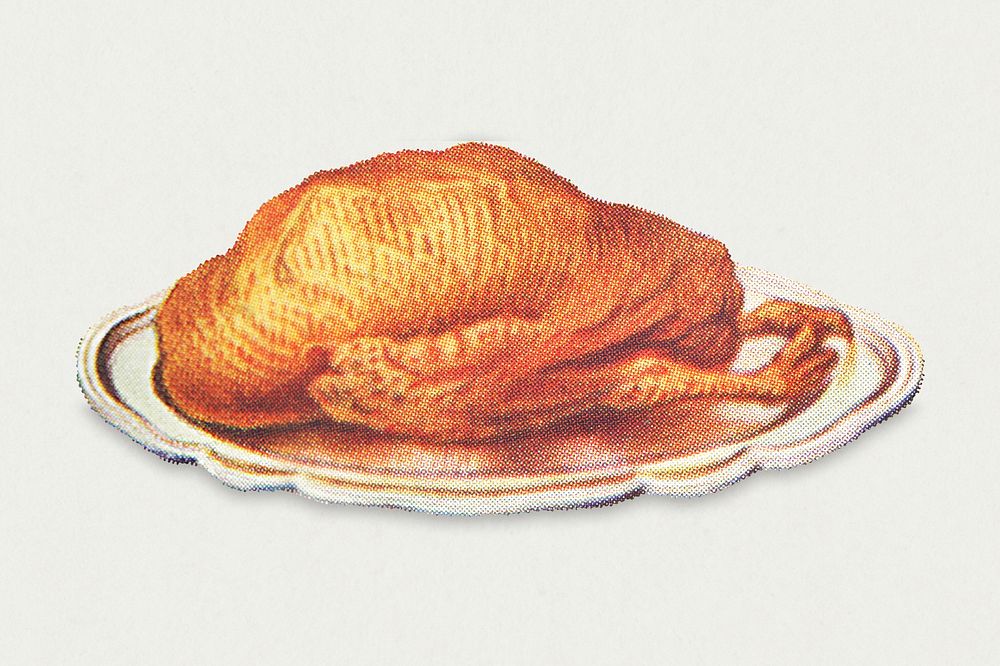 Vintage roast duck illustration